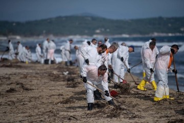 Marée noire sur le sud de la France : 37 plages du Var toujours touchées